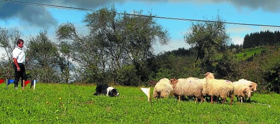 Gran nivel. Pello Segurola y 'Argi' en acción durante una de las pruebas que tuvieron lugar la mañana del domingo en Aiastia (San Miguel). 