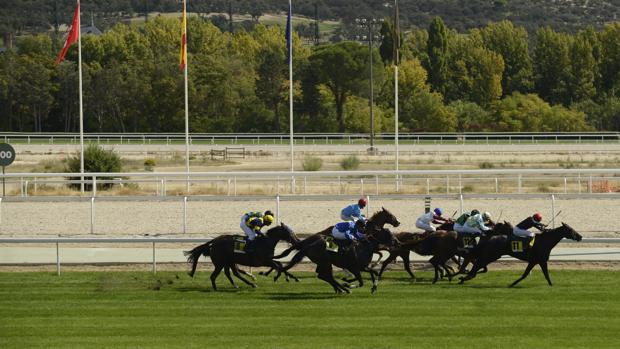 Dos jinetes graves tras chocar en el Hipódromo de la Zarzuela