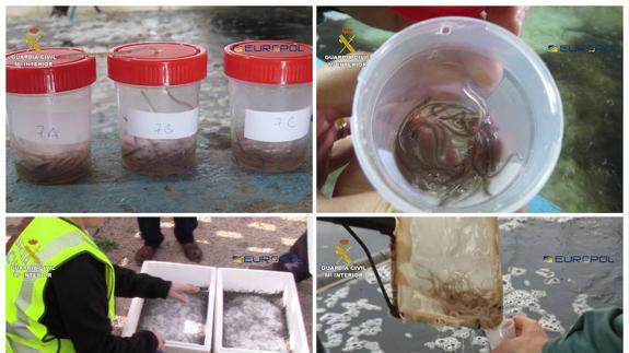 Fotografías facilitadas por la Guardia Civil