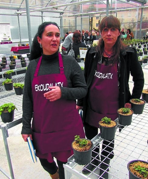Gesalibar. Nerea Altuna e Idurre Aranguren en su vivero ecológico, donde producen más de mil variedades hortícolas.