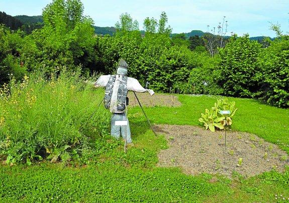 Baratza. Igartubeitiko lurrak lantzen ari dira, barazki, fruta eta bestelakoak hazten. 