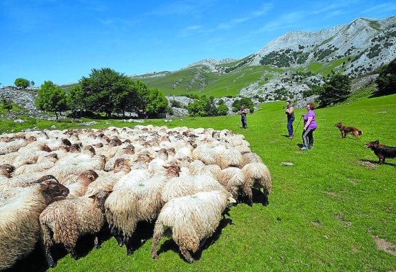 Elixabete Arrillaga, junto a Mikel y Xabier ayer en Urbia, muy cerca de la chabola Ttontor.
