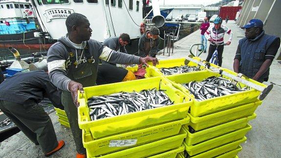 Arrantzales inmigrantes en el puerto de Hondarribia