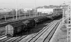 Un convoy de mercancías transita por el trazado ferroviario en Irun. [F. DE LA HERA]