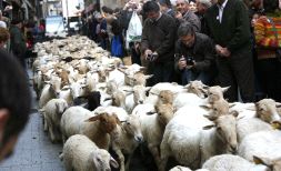 Fidelidad a un modelo