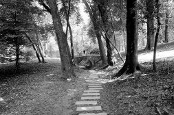 La flora y la fauna de Cristina Enea han sido analizadas de forma exhaustiva por Aranzadi. /LOBO ALTUNA