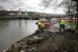 Limpieza de raíces y ramas junto al paseo