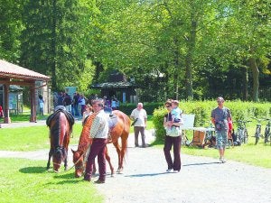 Palacio y jardín botánico del Señorío de Bertiz, Parque Natural. ::
A.D.C.