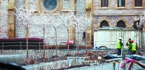Flor blanca. La nueva plaza de Cataluña tendrá 62 cerezos, 24 magnolios y 7 pinos. Ya ha comenzado su plantación. ::
USOZ