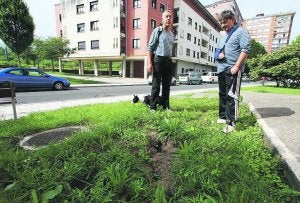 Los vecinos observan los agujeros que las ratas han escarbado en una zona verde. ::                             F. DE LA HERA