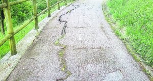 Bidegorri. El PNV ha criticado el estado de sus tramos. ::
ARIZMENDI