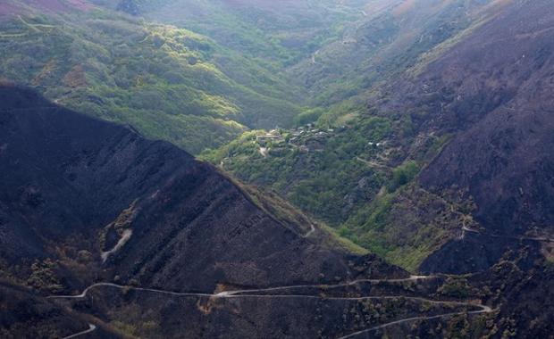 Imagen de la Tebaida berciana tras sel gran incendio que arrasó cerca de 3.000 hectáreas.
