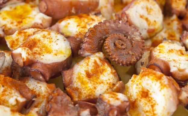 Los mejores pulpos de León