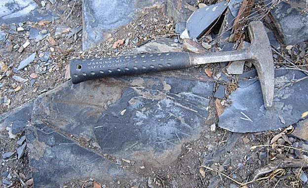 Yacimientos de graptolitos de Salas de la Riberao. 