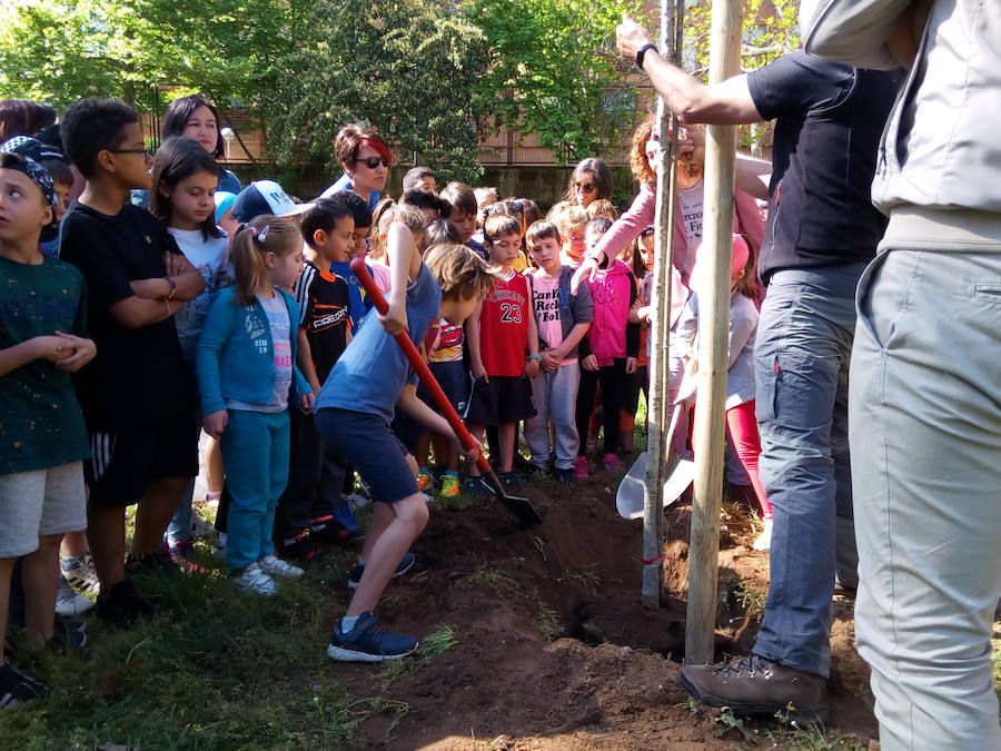Fotos: Plantación de árboles en el colegio Peñalba de Ponferrada