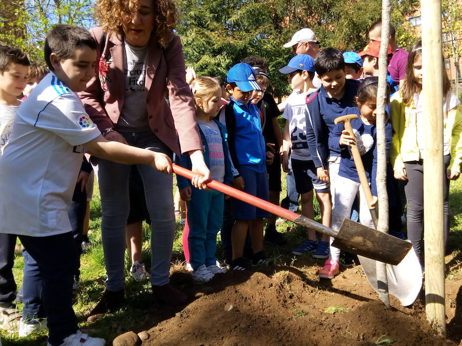 Fotos: Plantación de árboles en el colegio Peñalba de Ponferrada