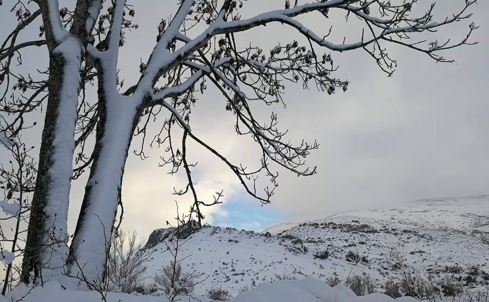 Imagen de nieve en la montaña de León a última hora de este lunes.