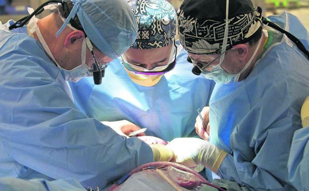 Operación para extraer órganos. 