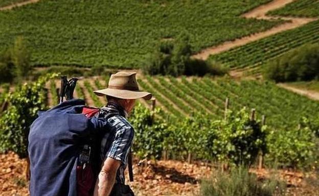 Bierzo Enoturismo participará bajo el paraguas de las Rutas del Vino de Castilla y León en las ferias B-Travel y Sevatur