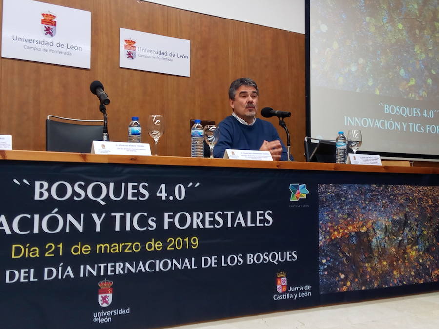 Fotos: Ponferrada celebra el Día Internacional de los Bosques