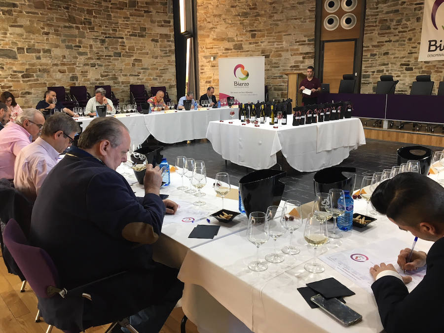 Fotos: La añada de 2018 de la DO Bierzo recibe la calificación de «excelente»