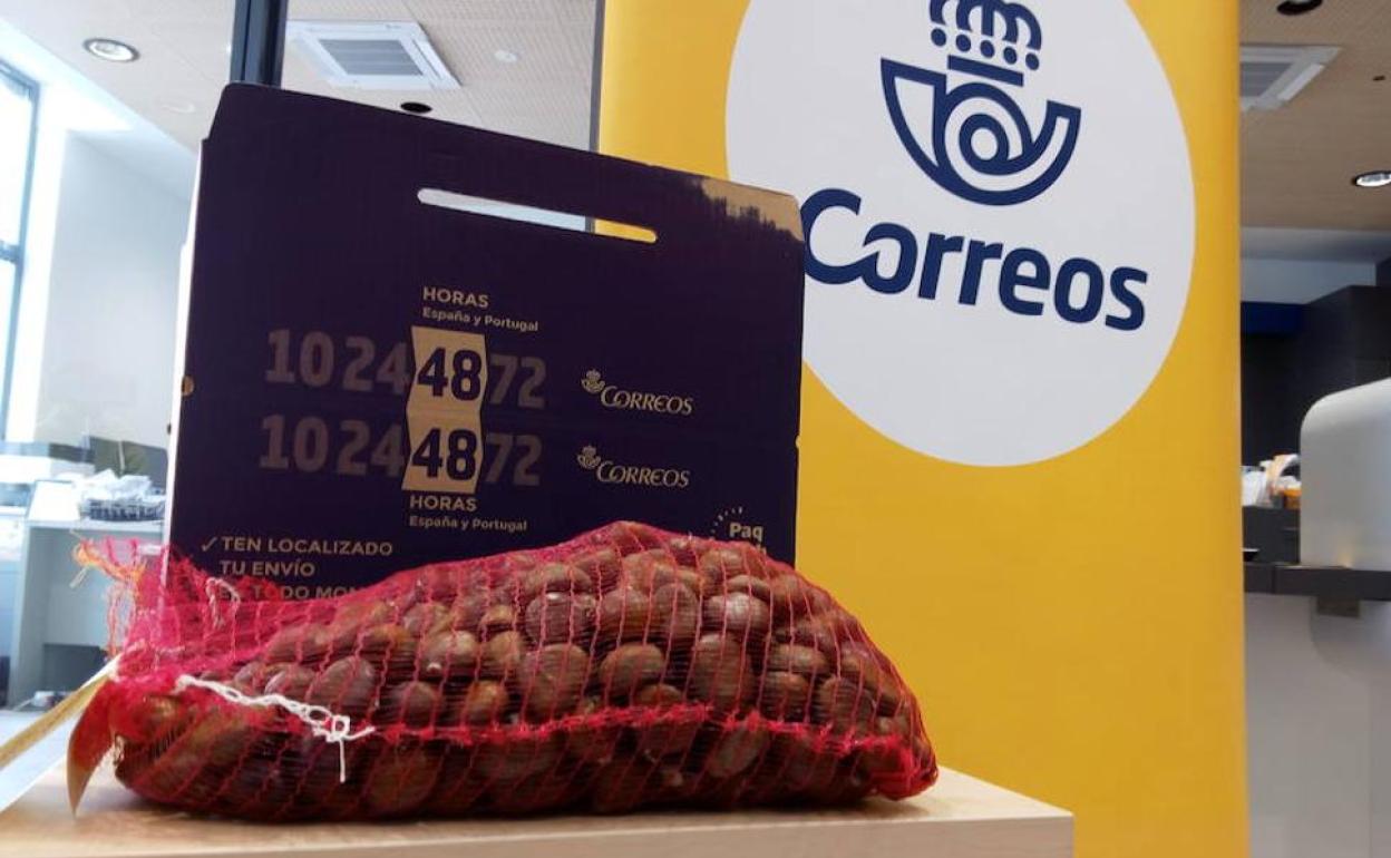 Correos inicia la campaña especial de envío de castañas.