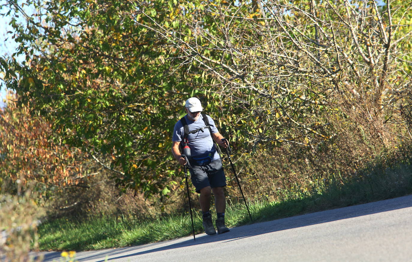 Fotos: Veroño en el Bierzo
