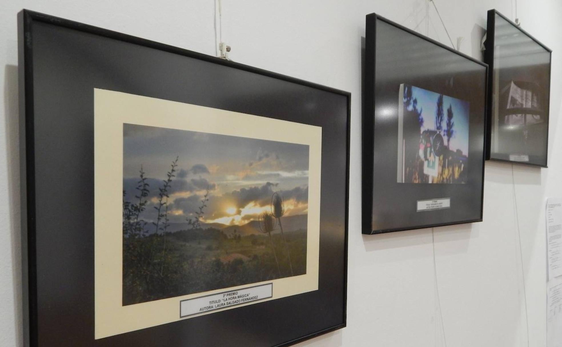 Tres de las obras ganadoras en las pasadas Fiestas de La Soledad expuestas en el Recinto Ferial de Camponaraya.