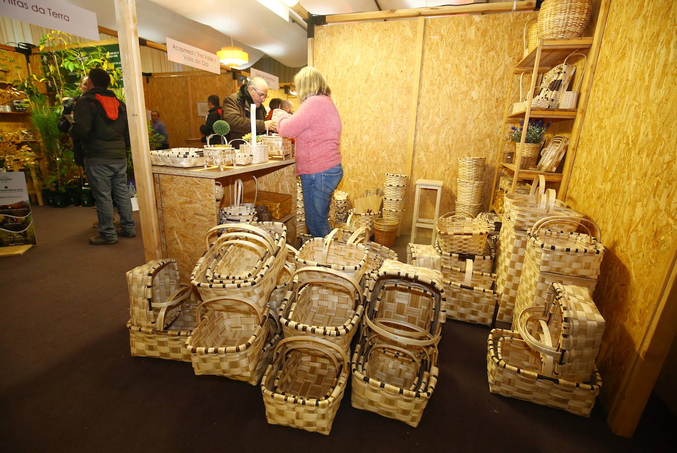 Fotos: Apertura de la Feria Sectorial de la Castaña