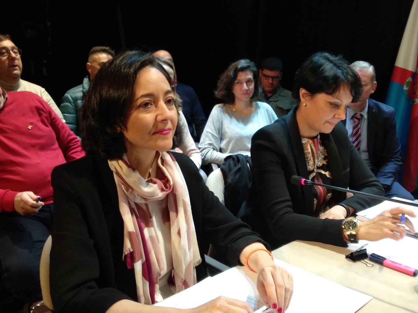 Fotos: Pleno del Consejo Comarcal del Bierzo