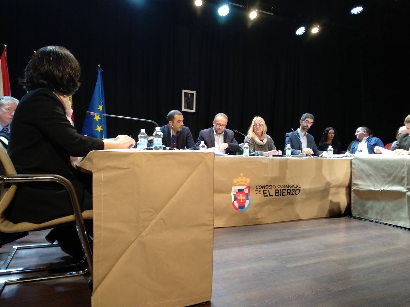 Fotos: Pleno del Consejo Comarcal del Bierzo