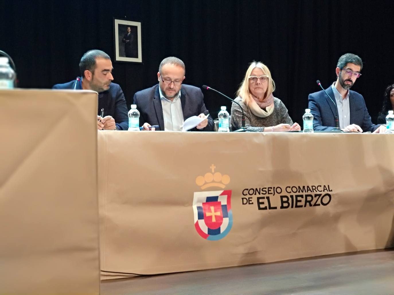 Fotos: Pleno del Consejo Comarcal del Bierzo