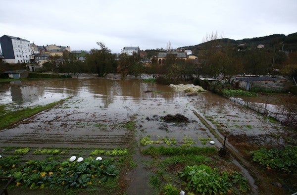 Fotos: Temporal de lluvia en el Bierzo