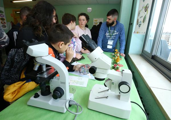 Fotos: Expociencia Unileón en el Campus del Bierzo