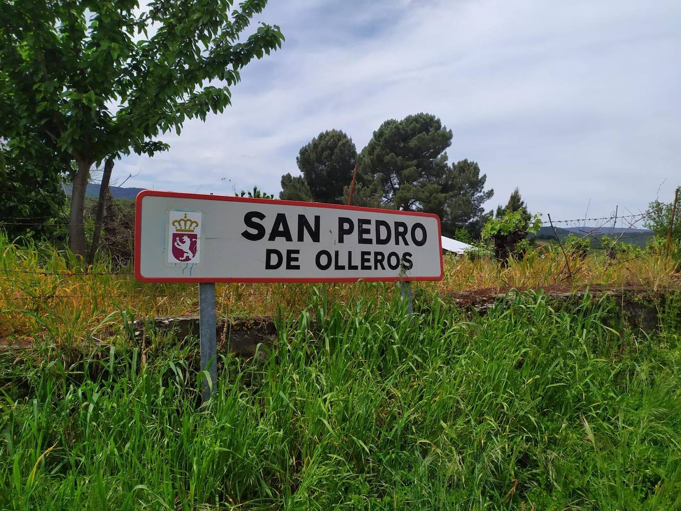 Fotos: Recogida de alimentos de la Policía Municipal de Ponferrada