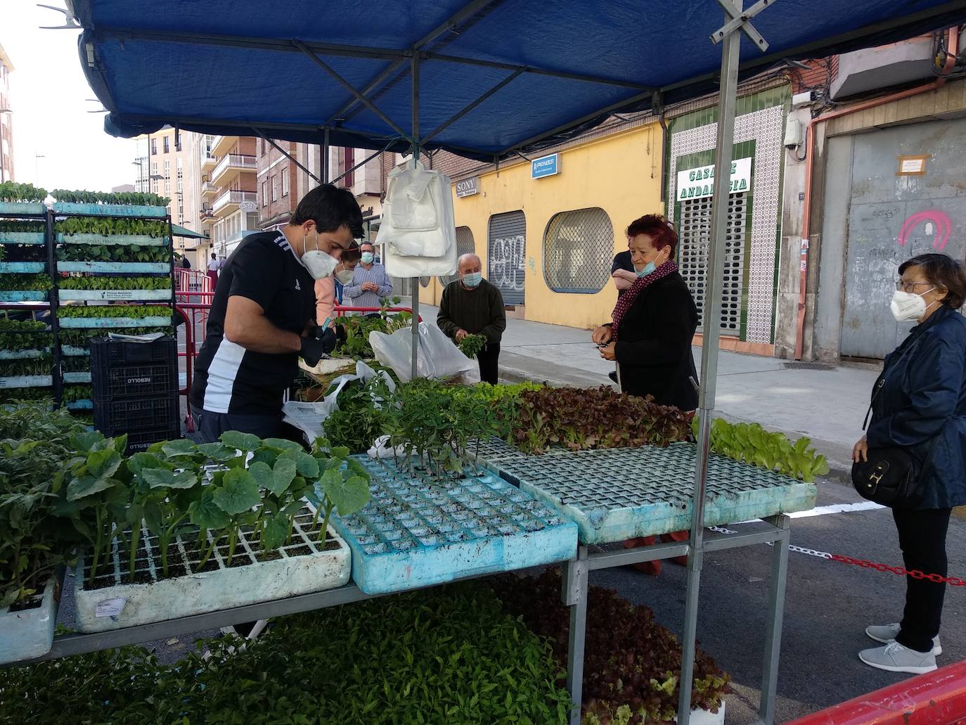 Fotos: Ponferrada recupera el mercado de los miércoles en la fase 1 del estado de alarma