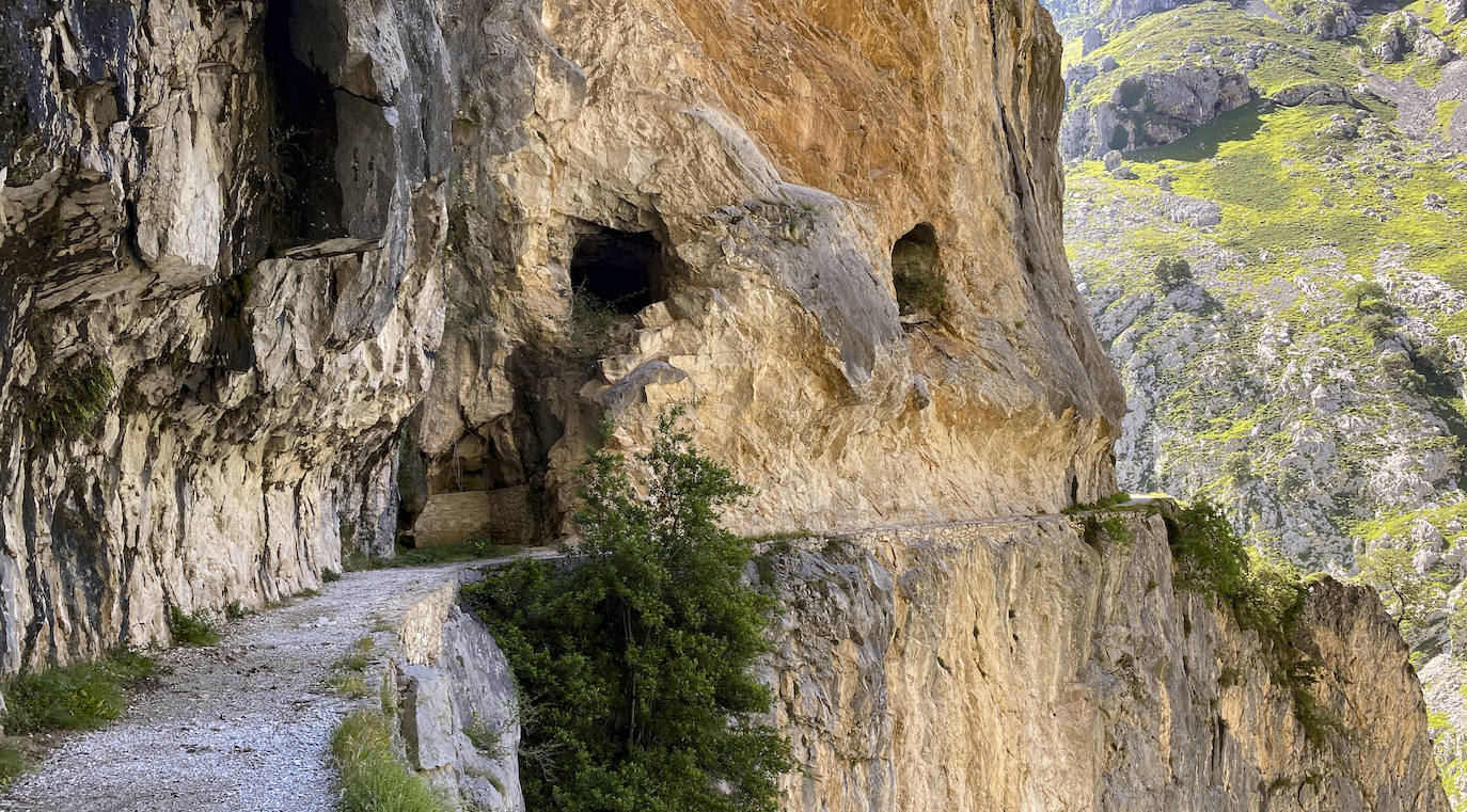 Los aficionados al senderismo han estrenado el verano y la nueva normalidad con un espléndido día para adentrarse en la montaña. El Urriellu, en los Picos de Europa, ha sido el telón de fondo mara muchos de los amantes de este deporte que ha acudido a realizar la popular Ruta del Cares. Poco a poco, el sendero va recuperando su afluencia habitual. 