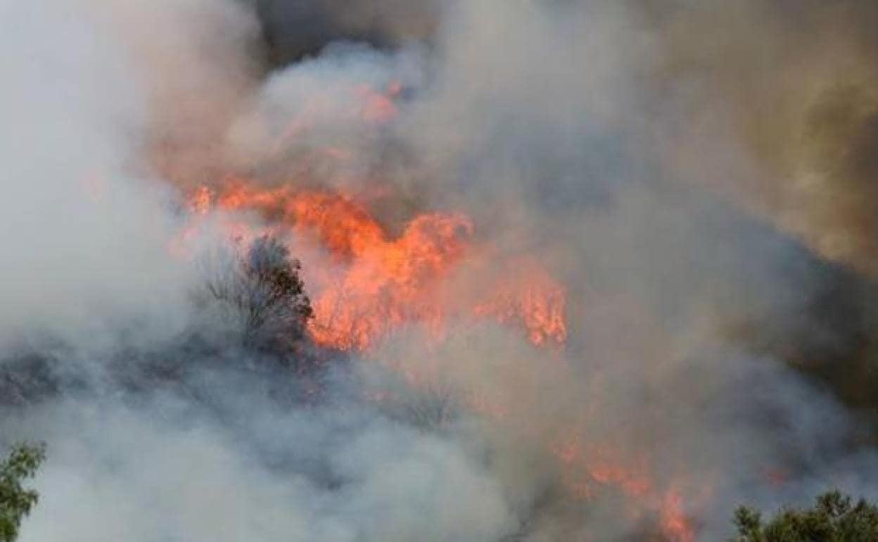 Incendio en El Bierzo.