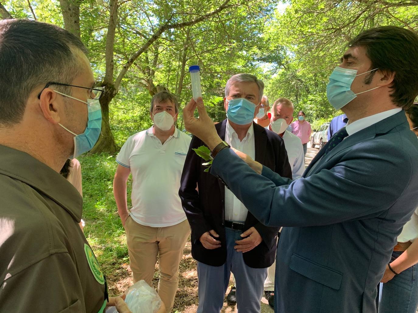 Fotos: Balance de la suelta de Torymus en el Bierzo