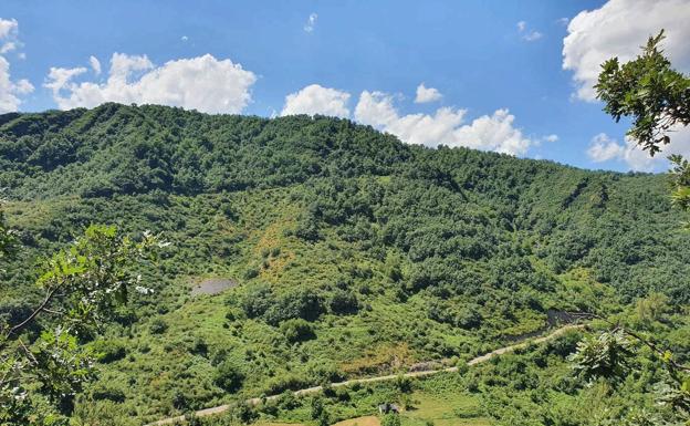 Imagen principal - Villablino, una buena razón para disfrutar de naturaleza, gastronomía y patrimonio