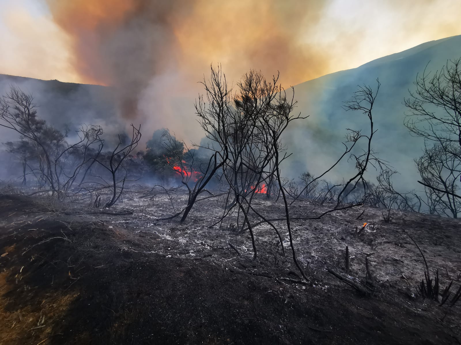 Fotos: Incendio en Balboa