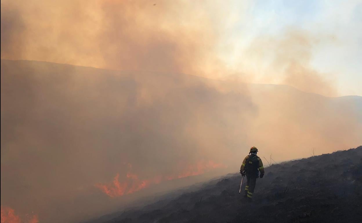 Brigadistas actuando en la zona del incendio.