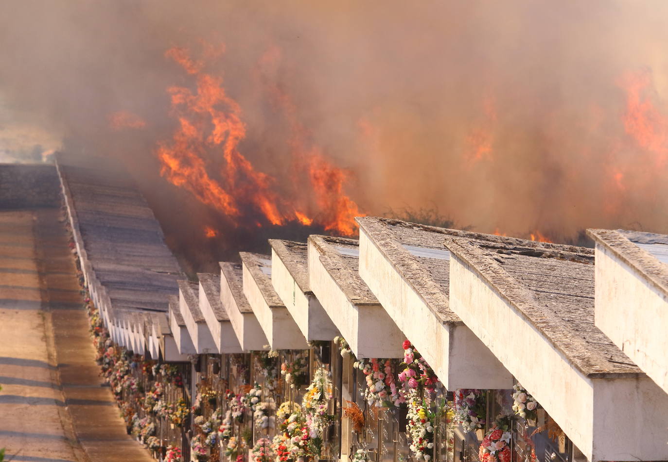 Fotos: Incendio forestal en las inmediaciones del cementerio de Ponferrada
