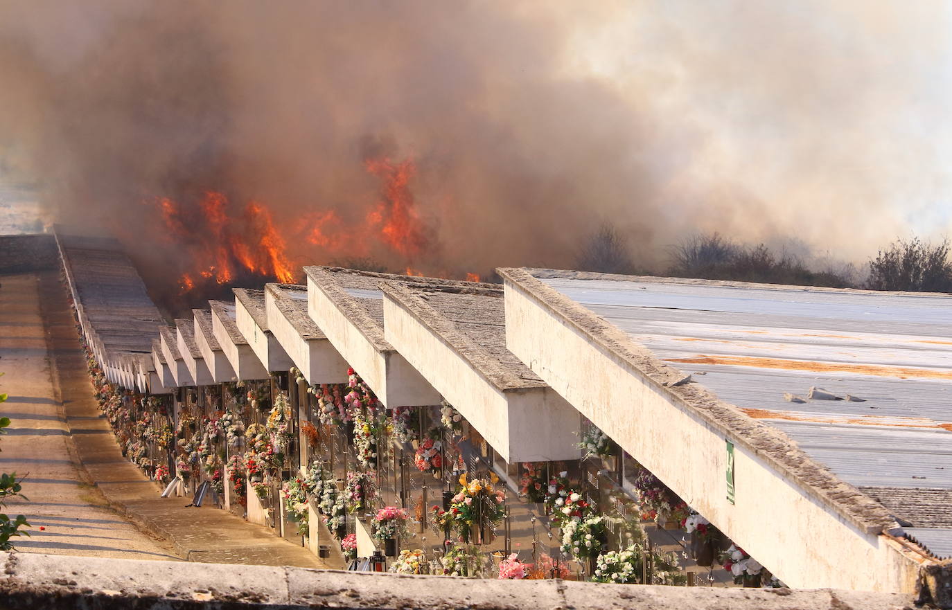 Fotos: Incendio forestal en las inmediaciones del cementerio de Ponferrada