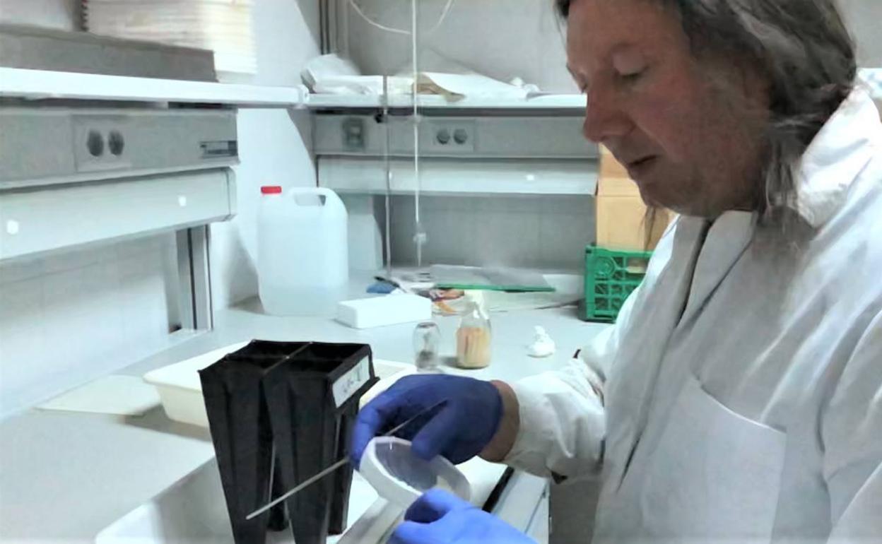 José Álvarez en su puesto del Campus de Ponferrada.
