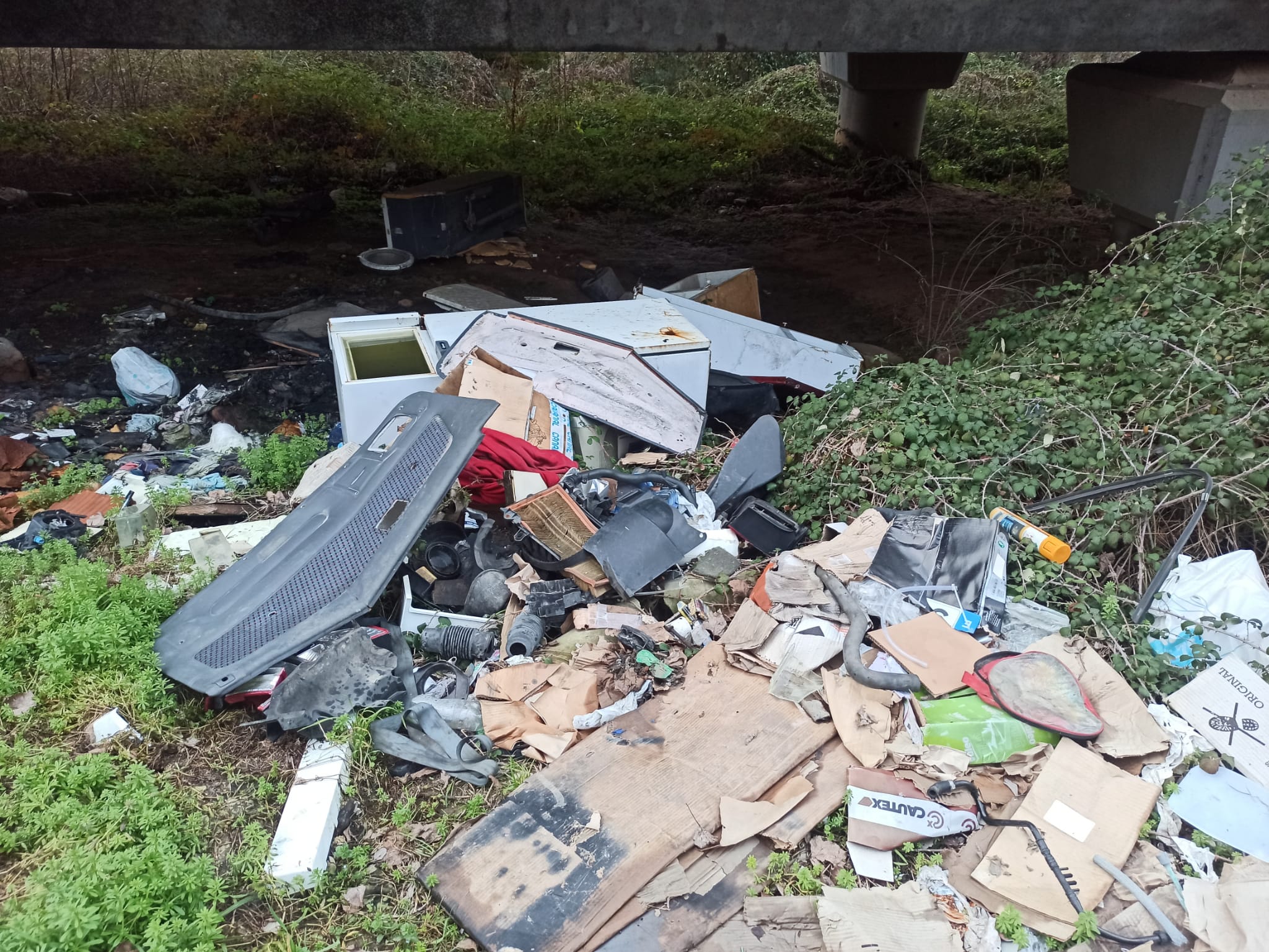 Fotos: Vertederos ilegales en El Bierzo