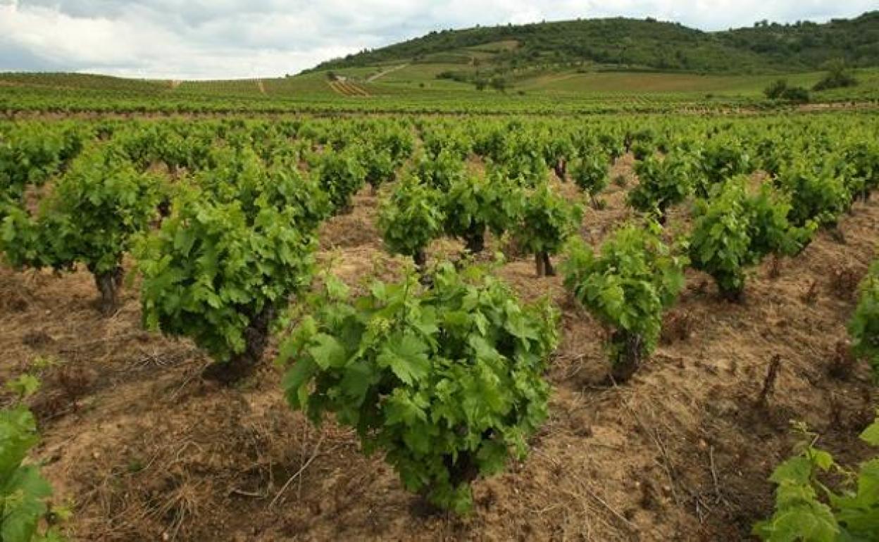 La instalación estaba comprometida para El Bierzo.