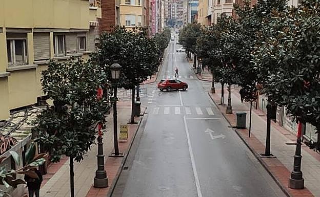 Poda de árboles en la avenida de la Puebla de Ponferrada.