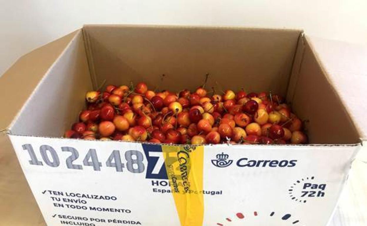 Correos pone en marcha la campaña especial para el envío de cerezas desde El Bierzo y Villablino