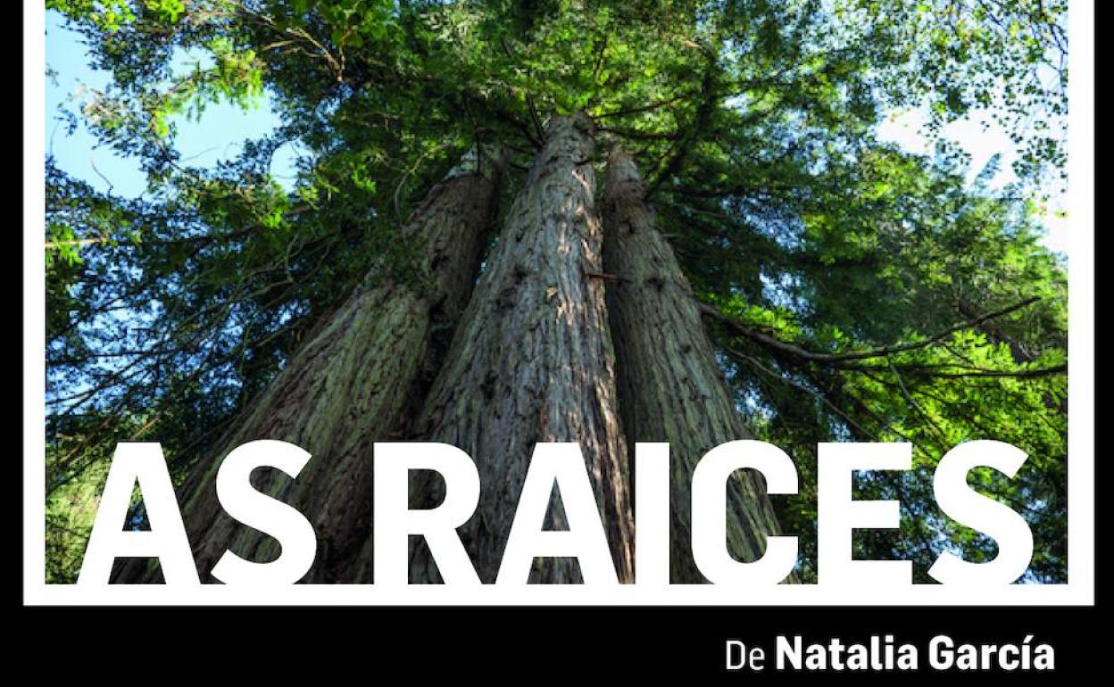 La obra audiovisual «As raíces» se instala en Museo de la Energía